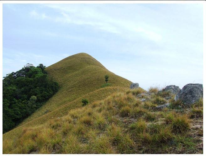 Ella Okreech Cottages Luaran gambar